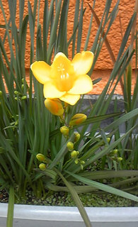 20110403.jpg